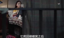 小汪姐姐爆料视频大全集,揭秘娱乐圈幕后真相